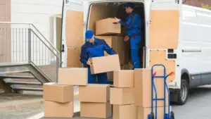 Nevada Movers: A Neutral Review of Services, Standards, and Customer Experience